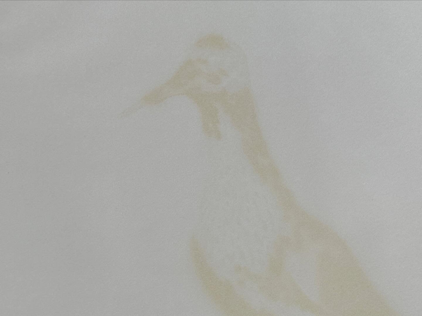 Fading Fauna detail.jpg