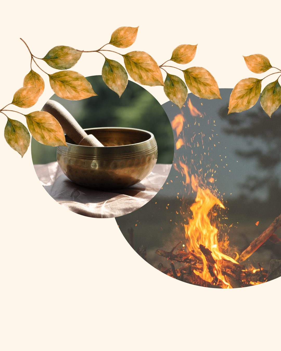 Autumn Woodland Sound Meditation Experience