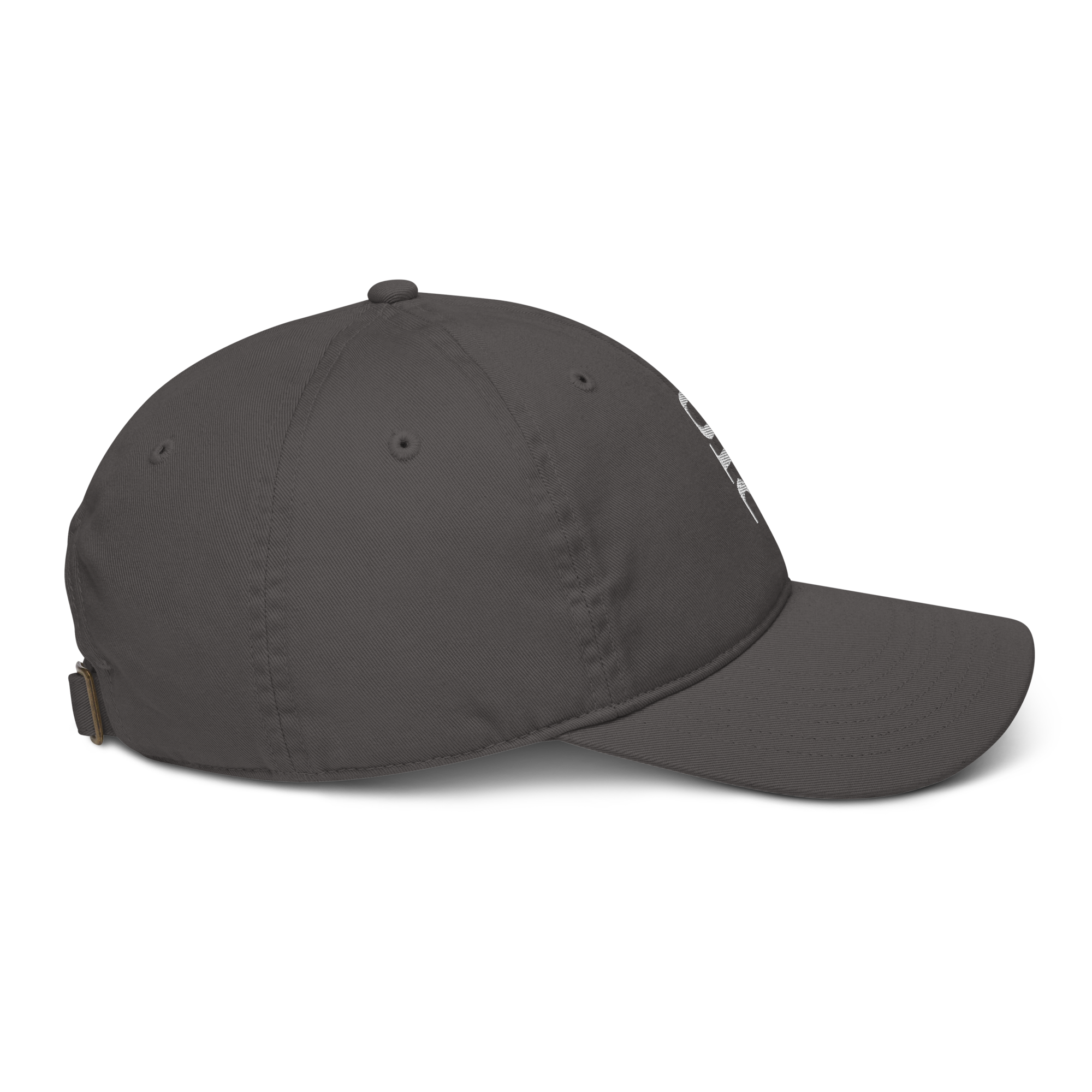 organic-baseball-cap-charcoal-right-6802bd09b1a32.png