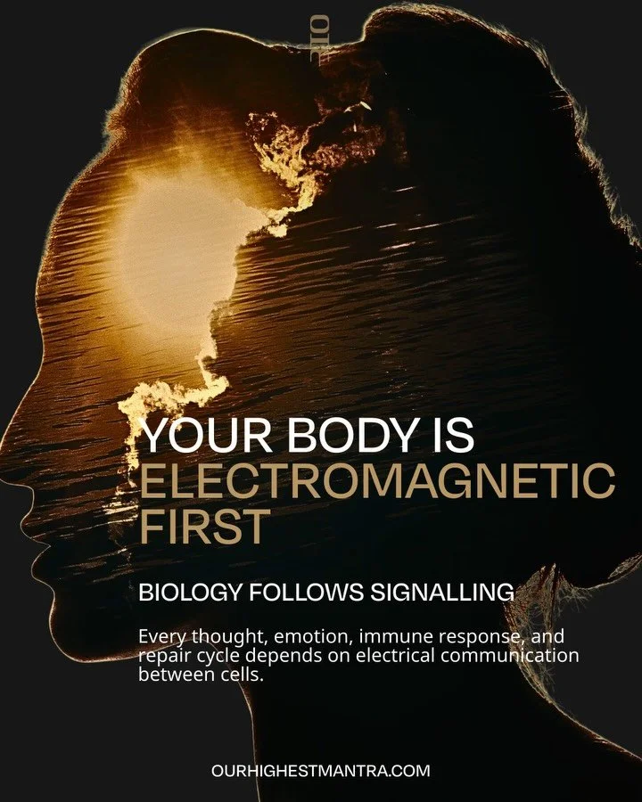 Most people try to change behavior before stabilizing the system.

But behavior follows biology.
Perception follows state.
State follows pattern.

When internal rhythms lose harmony, the body reallocates energy toward protection instead of expansion.