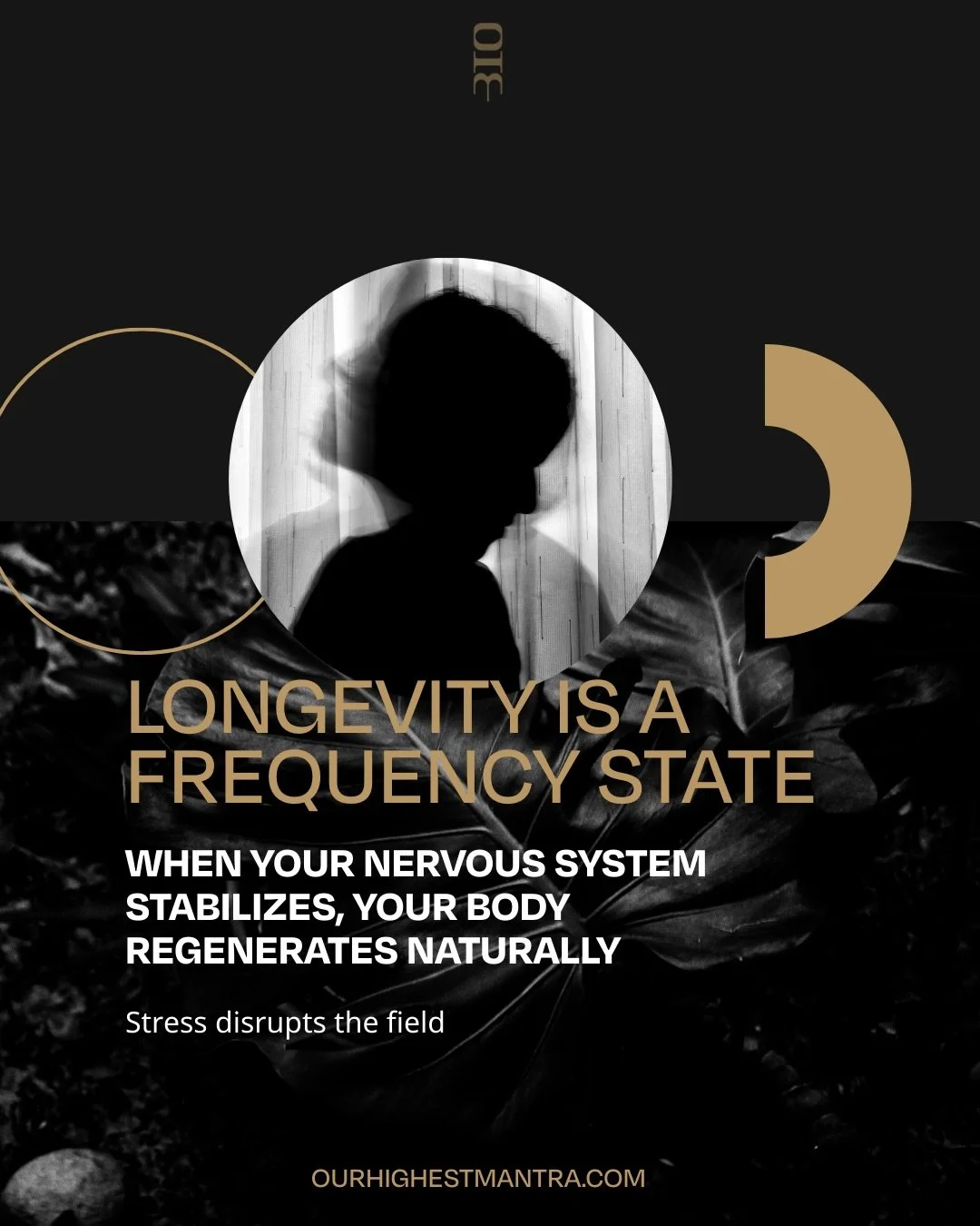 Your biology follows your state of awareness. When your inner rhythm steadies, vitality becomes natural.

In a world of overstimulation and fragmented focus, your system is asking for integration: emotional, energetic, and physical. Real longevity be