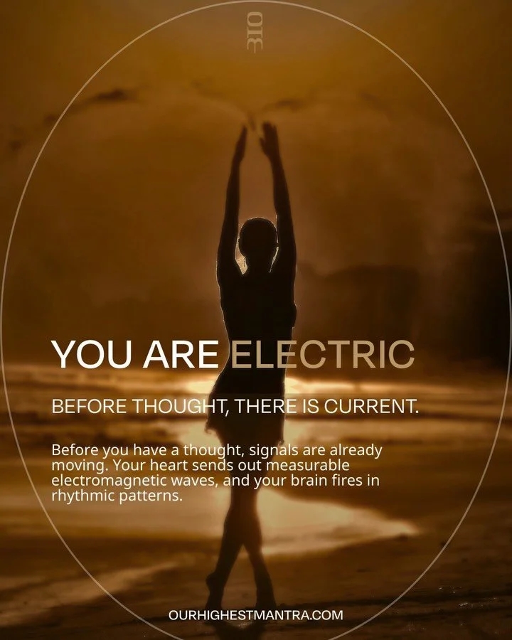 Step beyond noise.

Explore our harmony + longevity membership.