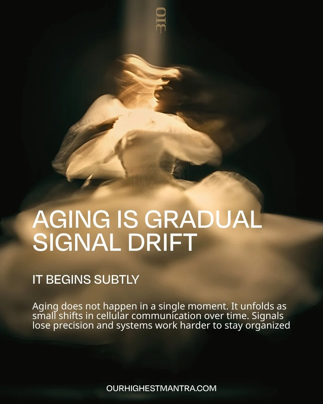 The body does not age all at once. It shifts through small changes in rhythm, communication, and recovery.

When stress accumulates and biological signals lose coordination, vitality gradually fades.

Longevity begins with restoring coherence across 
