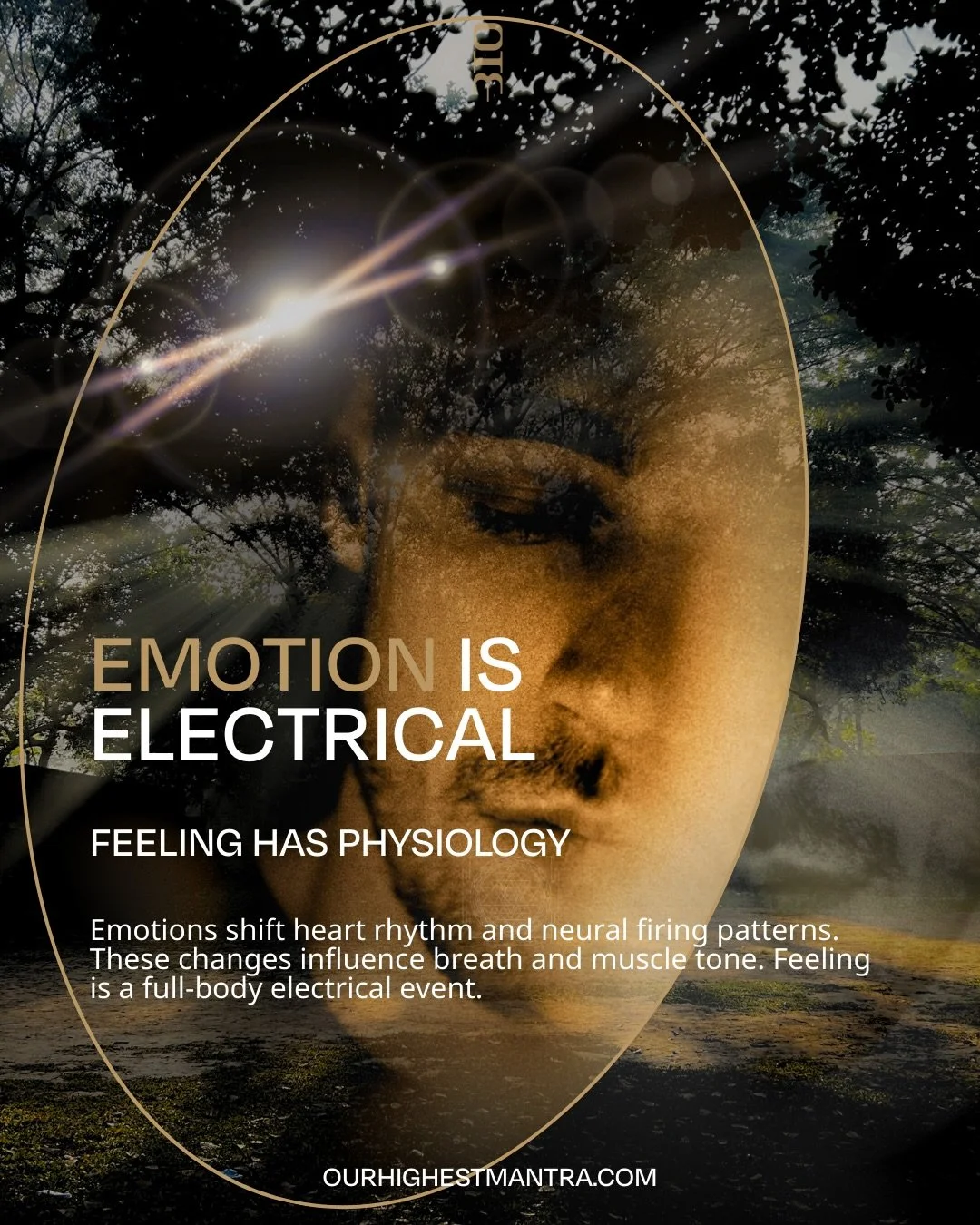 Emotion moves through the body as electrical rhythm.

Heart patterns shift, breath adjusts, muscles respond, and perception reorganizes.

Feeling is not abstract. It is a physiological signal moving through the nervous system and bioelectromagnetic f