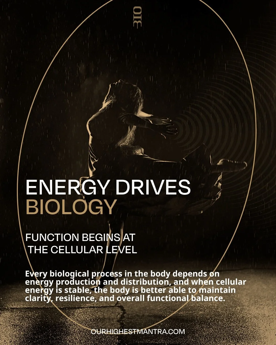 Energy organizes biology before form becomes visible.

The nervous system interprets this field and shapes how you experience reality.

When internal rhythms are supported, recovery becomes more efficient and stability follows naturally.

Clarity the