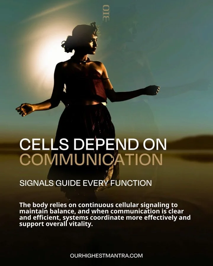 Your inner state is not random. It is shaped by subtle patterns that accumulate through daily inputs, environment, and perception.

Over time, these patterns influence how your system organizes energy, attention, and recovery.

When harmony is presen