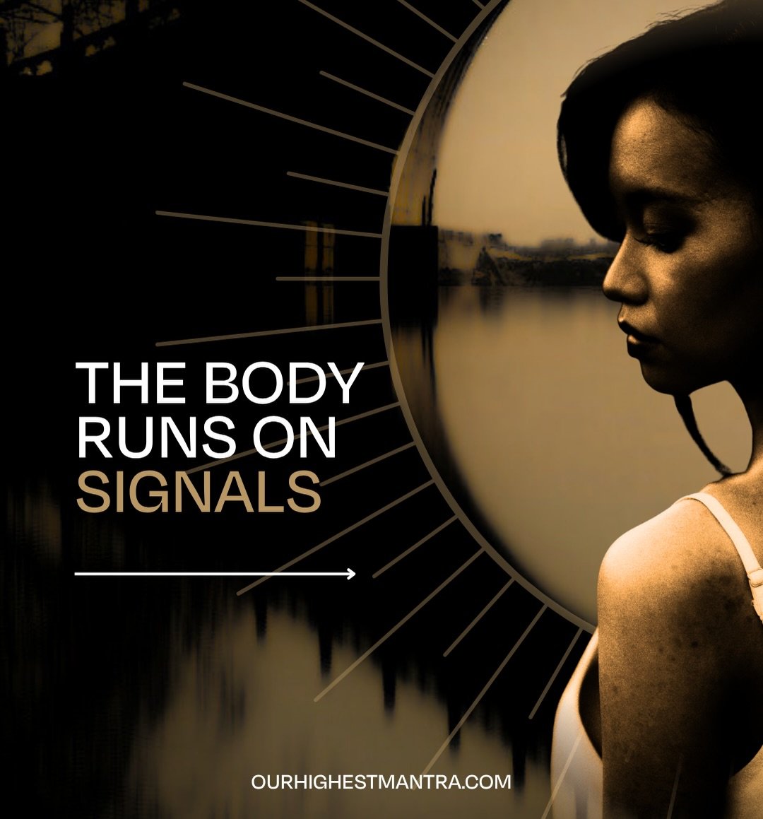 The body is always organizing around what it receives, even when we are not consciously aware of it.

Subtle patterns in the nervous system, environment, and attention shape how energy is distributed, how clearly we think, and how steadily we feel ov