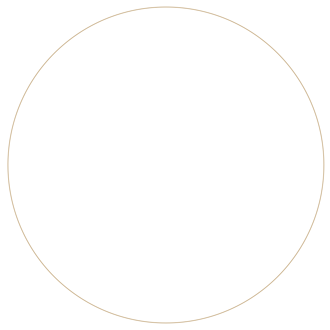 Empty black circle with gold outline.