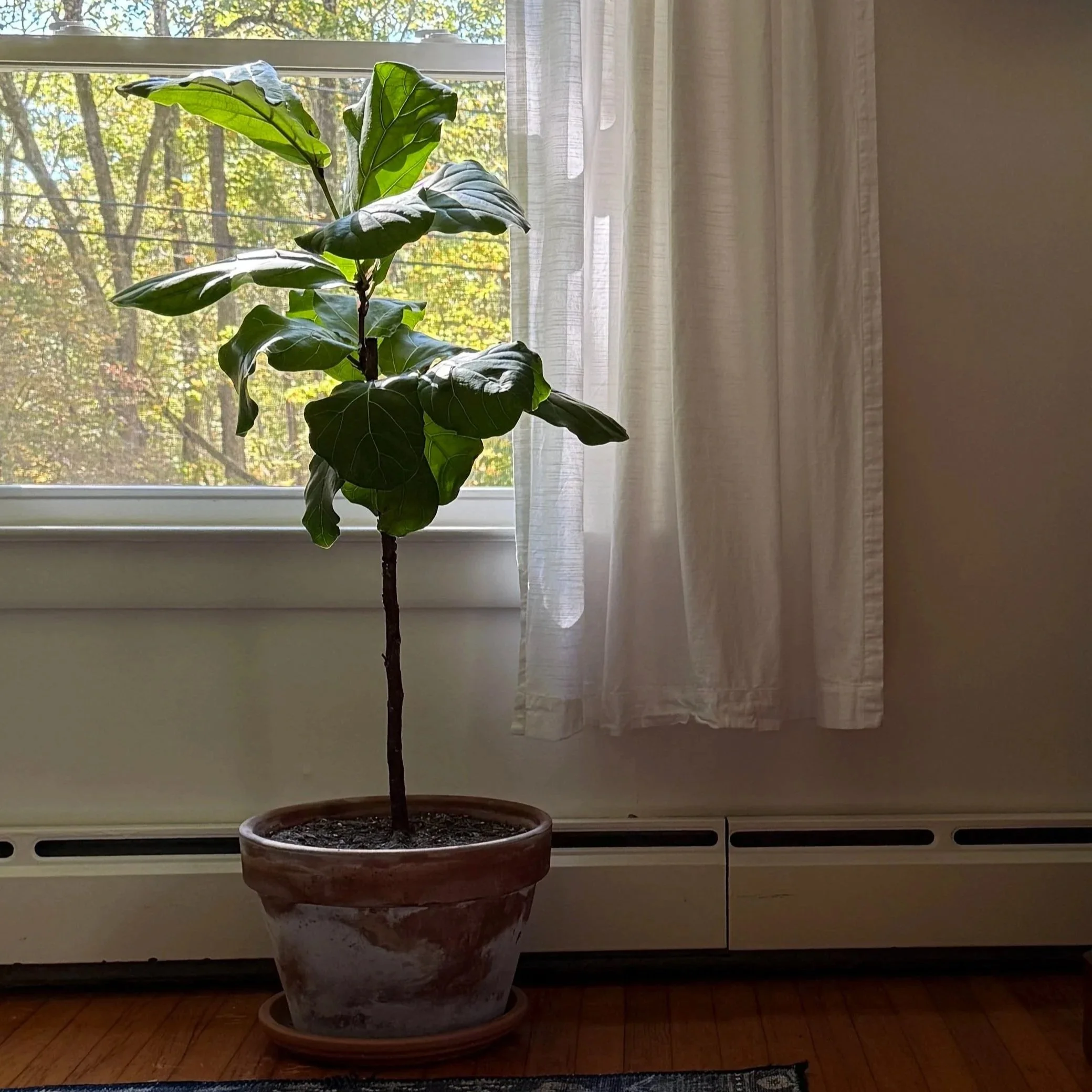 Children as Ecosystem Members