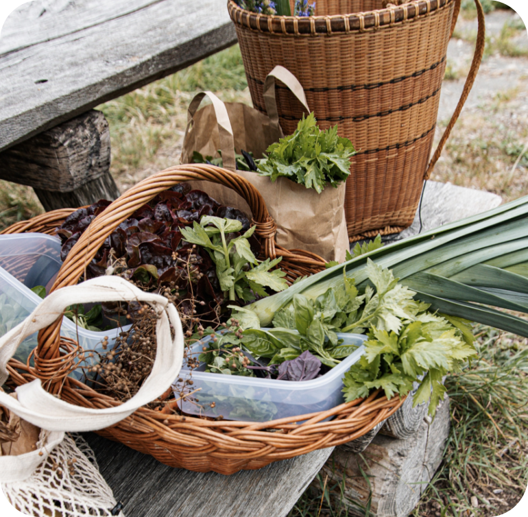 Fresh garden vegetables and greens in a wicker basket and paper bag on a wooden bench outdoors.