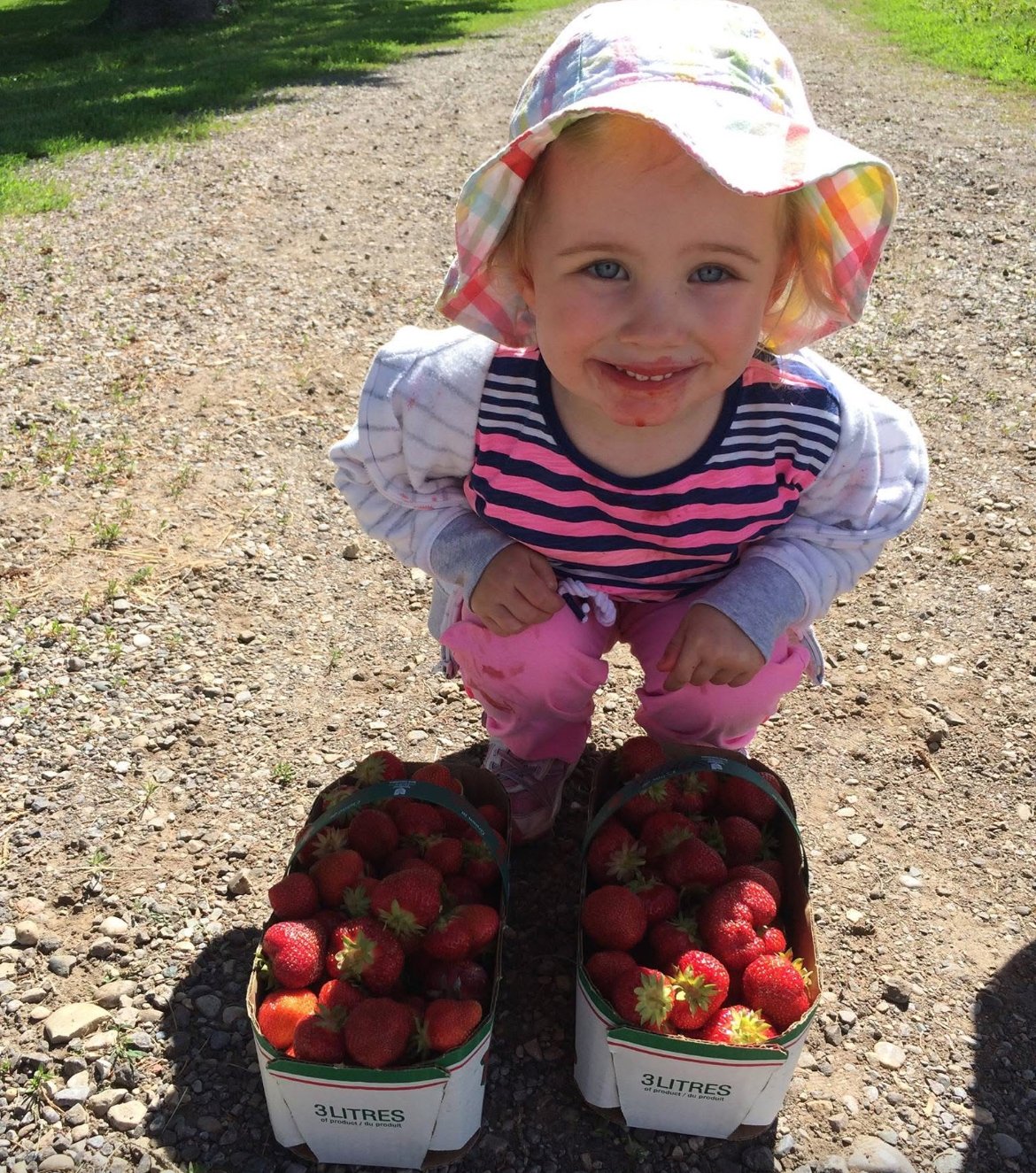 Eat the Berries, Parents. Seriously.