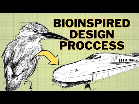 What is bioinspired design and how can it improve our lives?