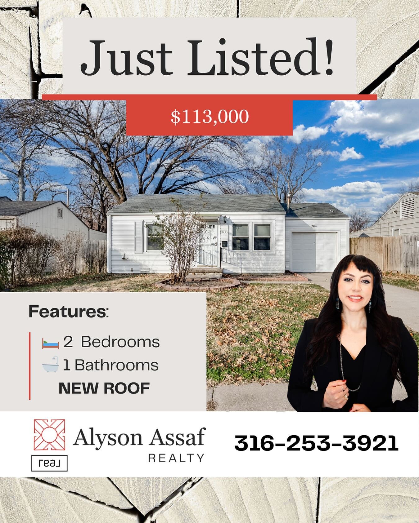 Looking for a great starter home or a clean move-in ready rental property? 1033 Waverly has a new roof, new interior flooring, paint, remodeled kitchen and more! There are several first time buyer grant programs available which allow you to bring lit