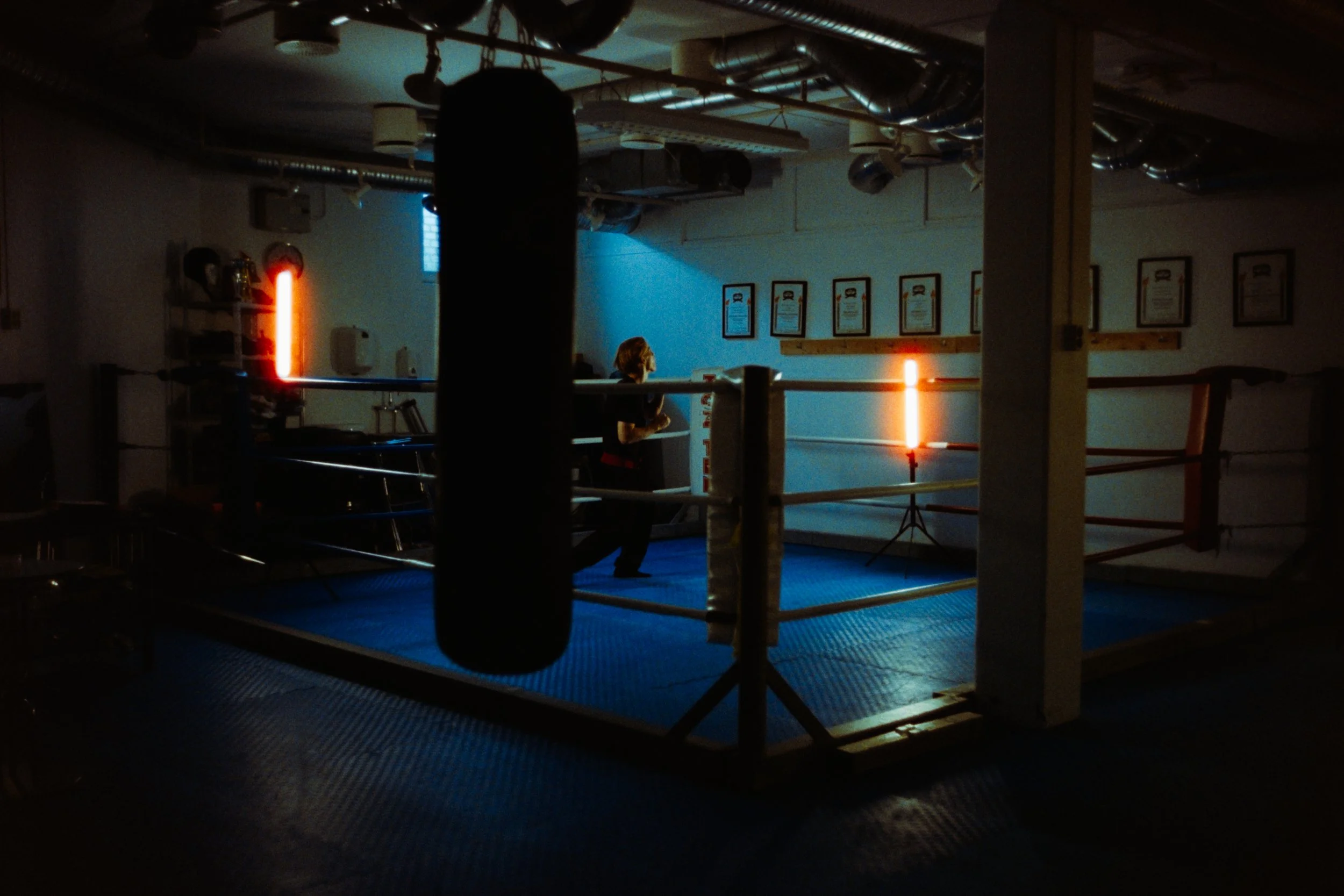 A person in a boxing gym standing in a boxing ring, with a punching bag in the foreground, lit by red and blue lights, with framed certificates on the wall.
