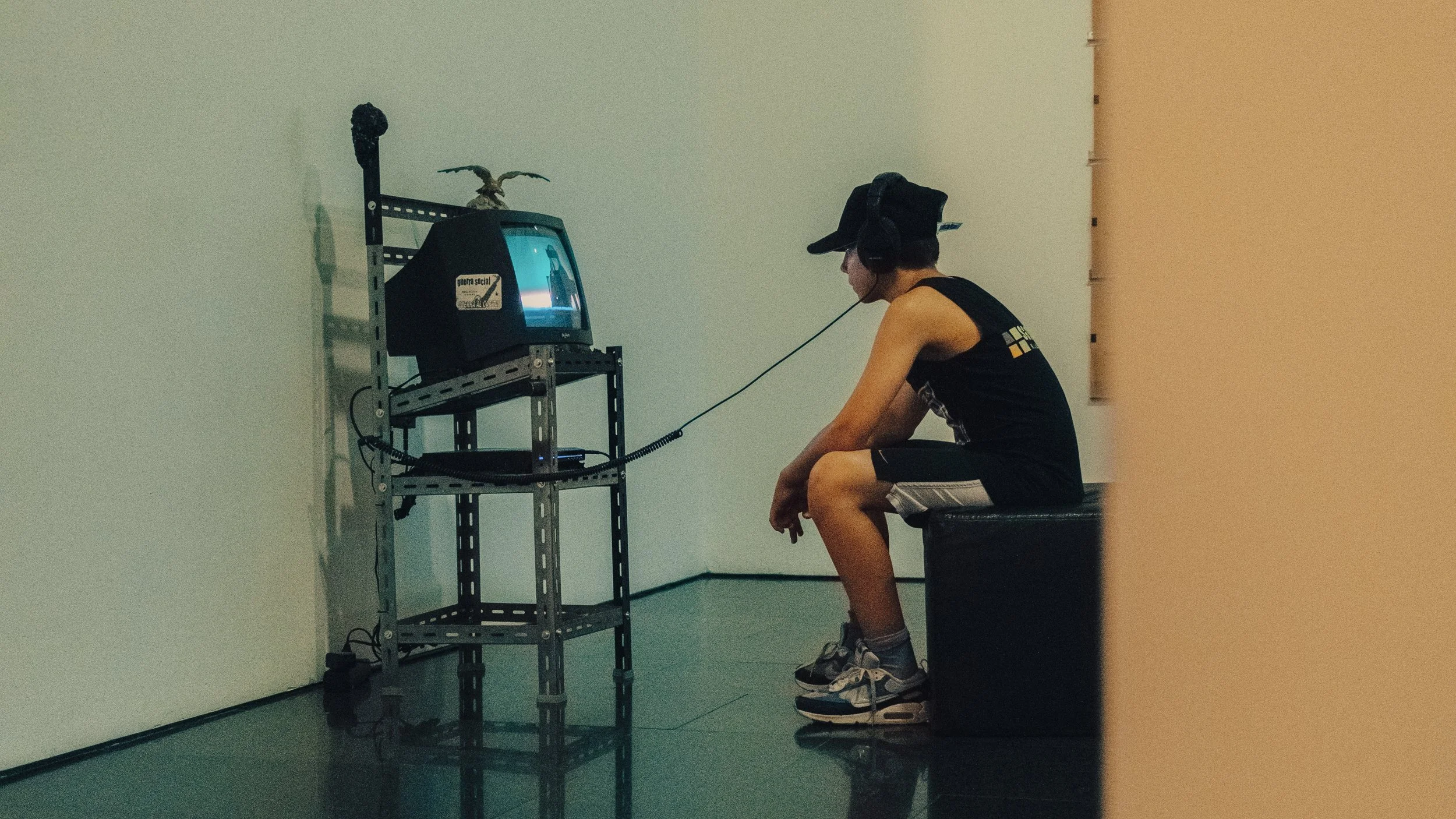 The Human Eye in the Age of AI