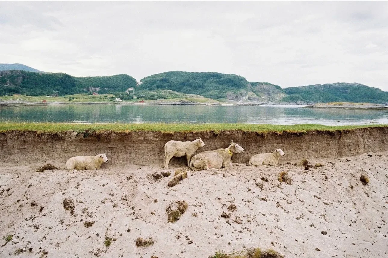 ONE FRAME DEEP: Andreas Rønning