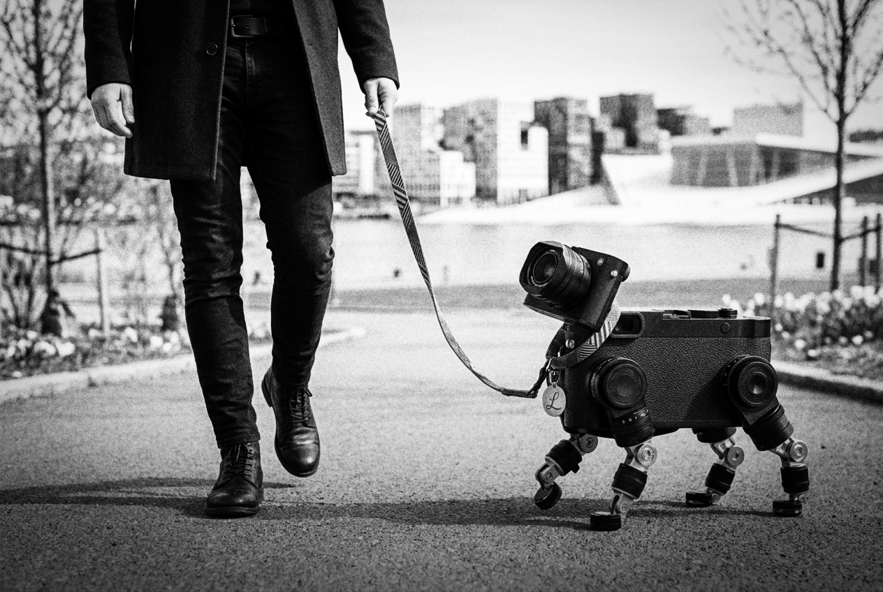 Photowalks is My Version of Walking the Dog