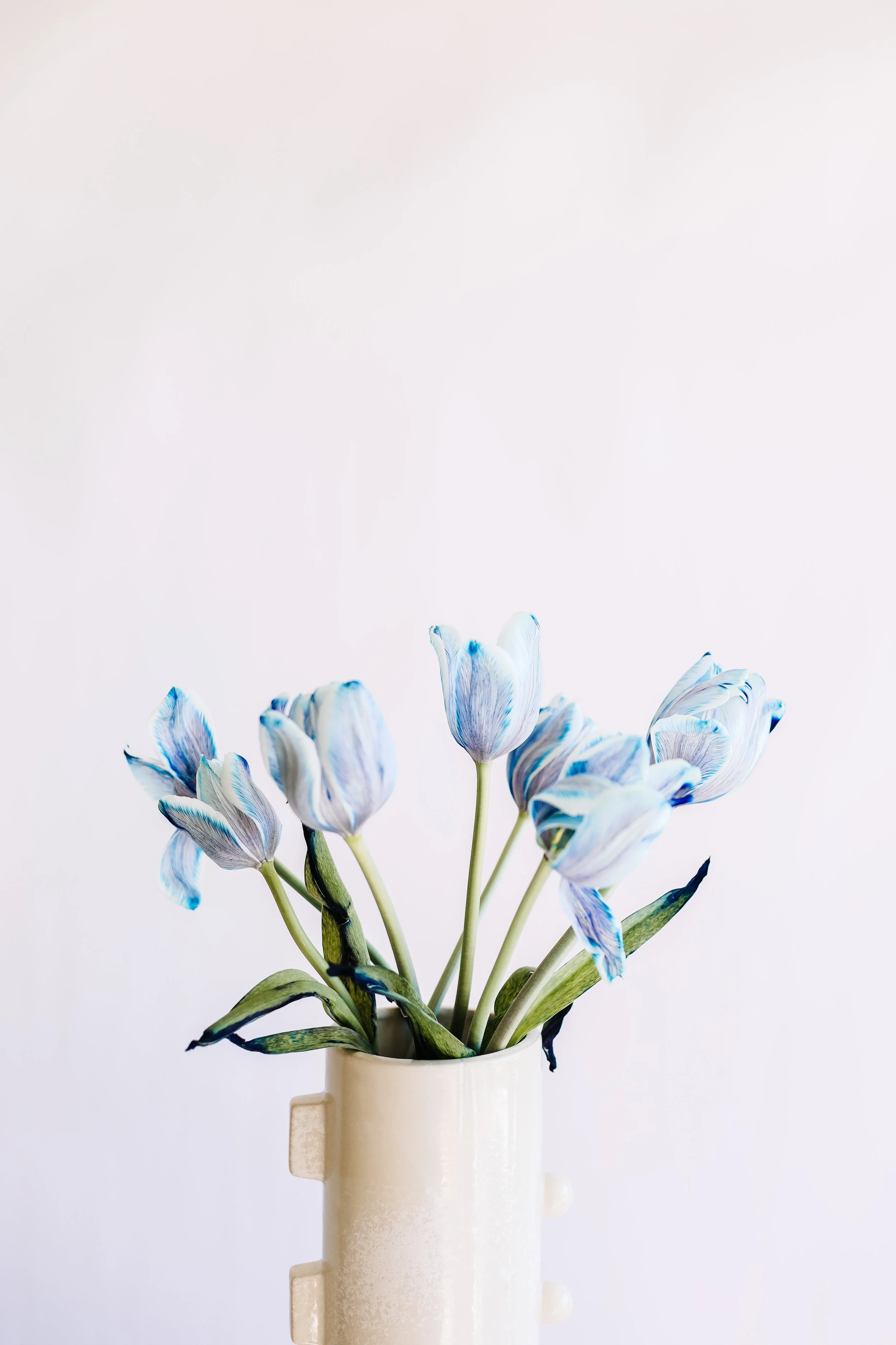 IMG_4284_Original.jpg
