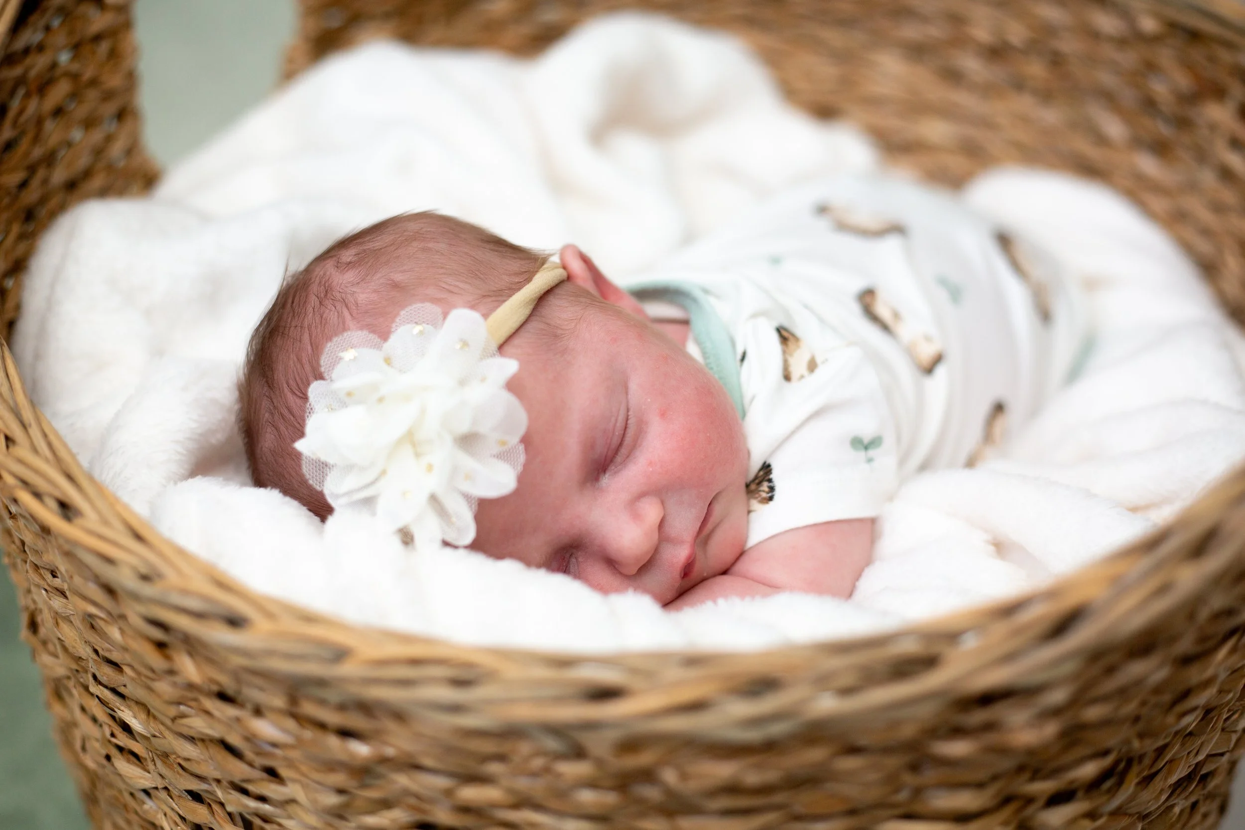 Sophia Newborn Photos-32.jpg