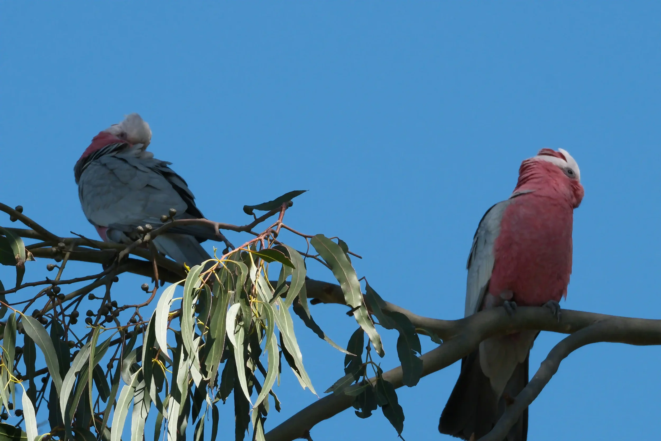 No-Contact: Wenn Schweigen die einzige Antwort zu sein scheint