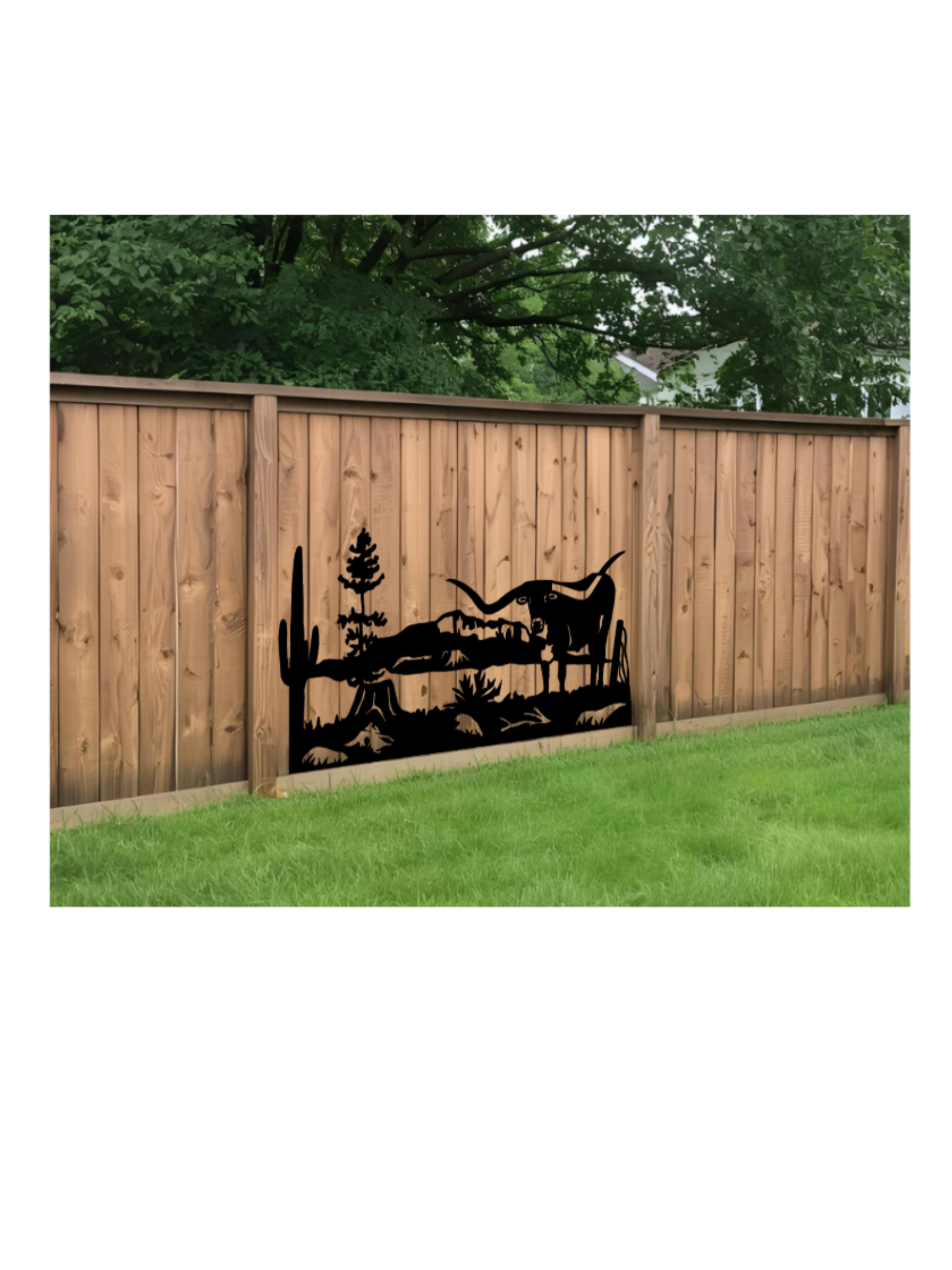 longhorn on fence 1.png