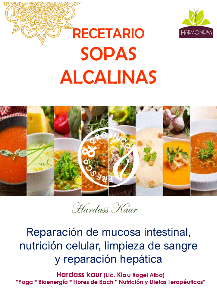 Recetario de SOPAS alcalinas, ayurvédicas, saludables y nutritivas!