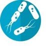 microbiota 005.jpg