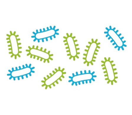 microbiota_004-removebg-preview.png