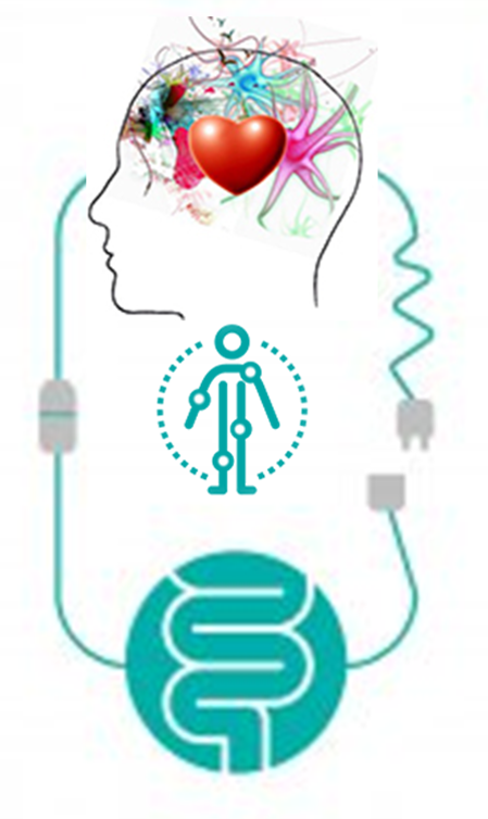eje INTESTINO CEREBRO.png
