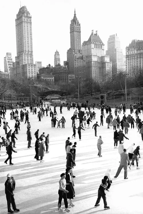 Wollman Rink, 1951