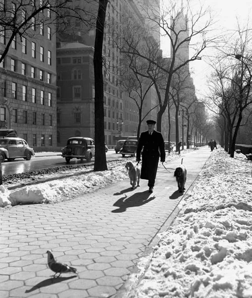 Dog Walker, 1949