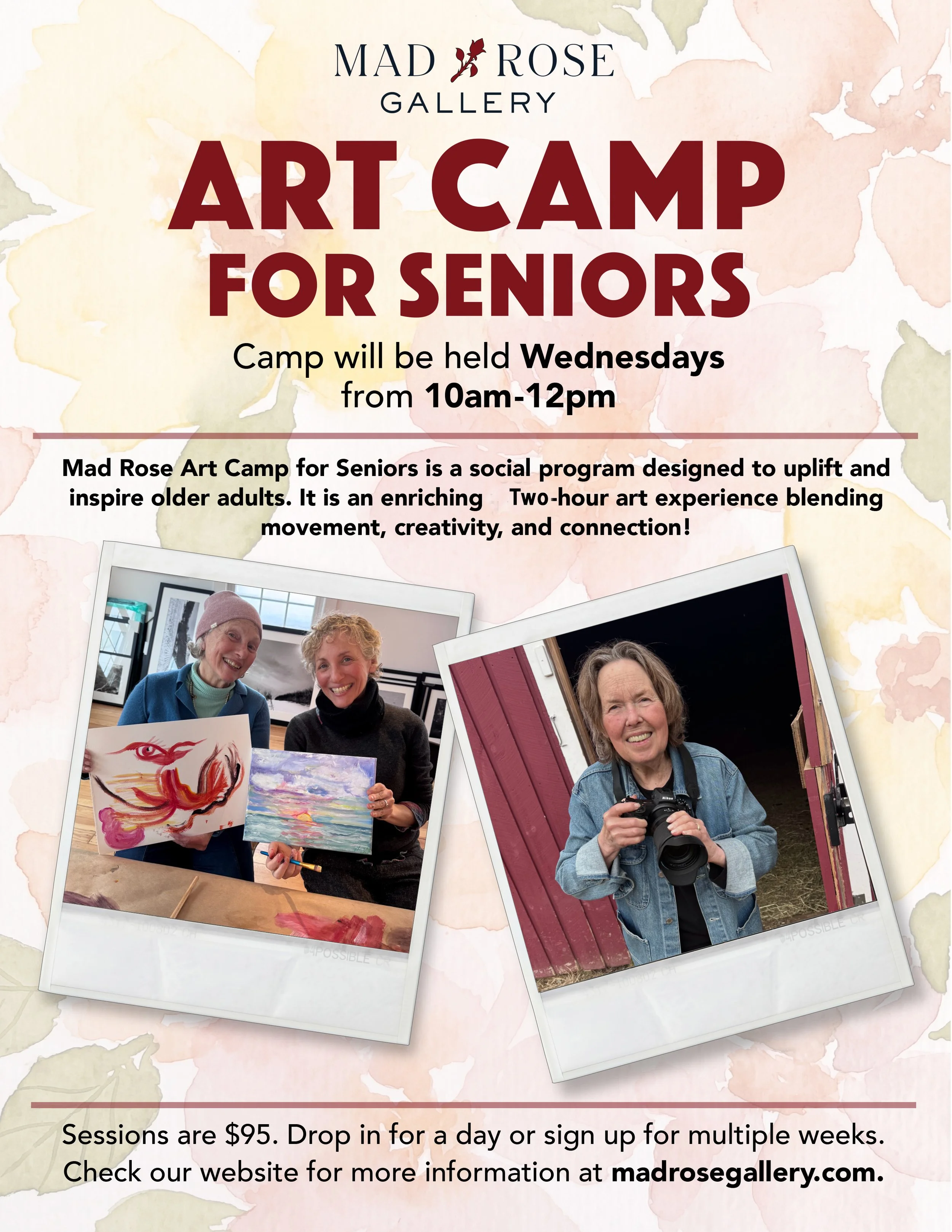 Art Camp for Seniors: Drop In Class
