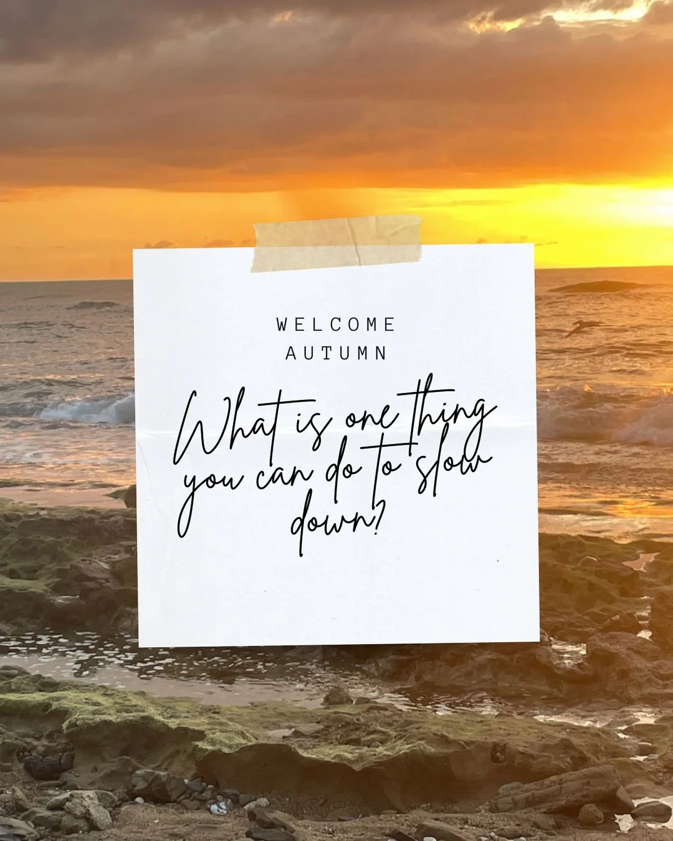 As autumn arrives, we are given permission to slow things down and turn inward. 
Connecting to your intuition and learning to trust yourself is the best gift you can give yourself.
.
What are you favorite practices to turn inward?
.
Stay tuned for so