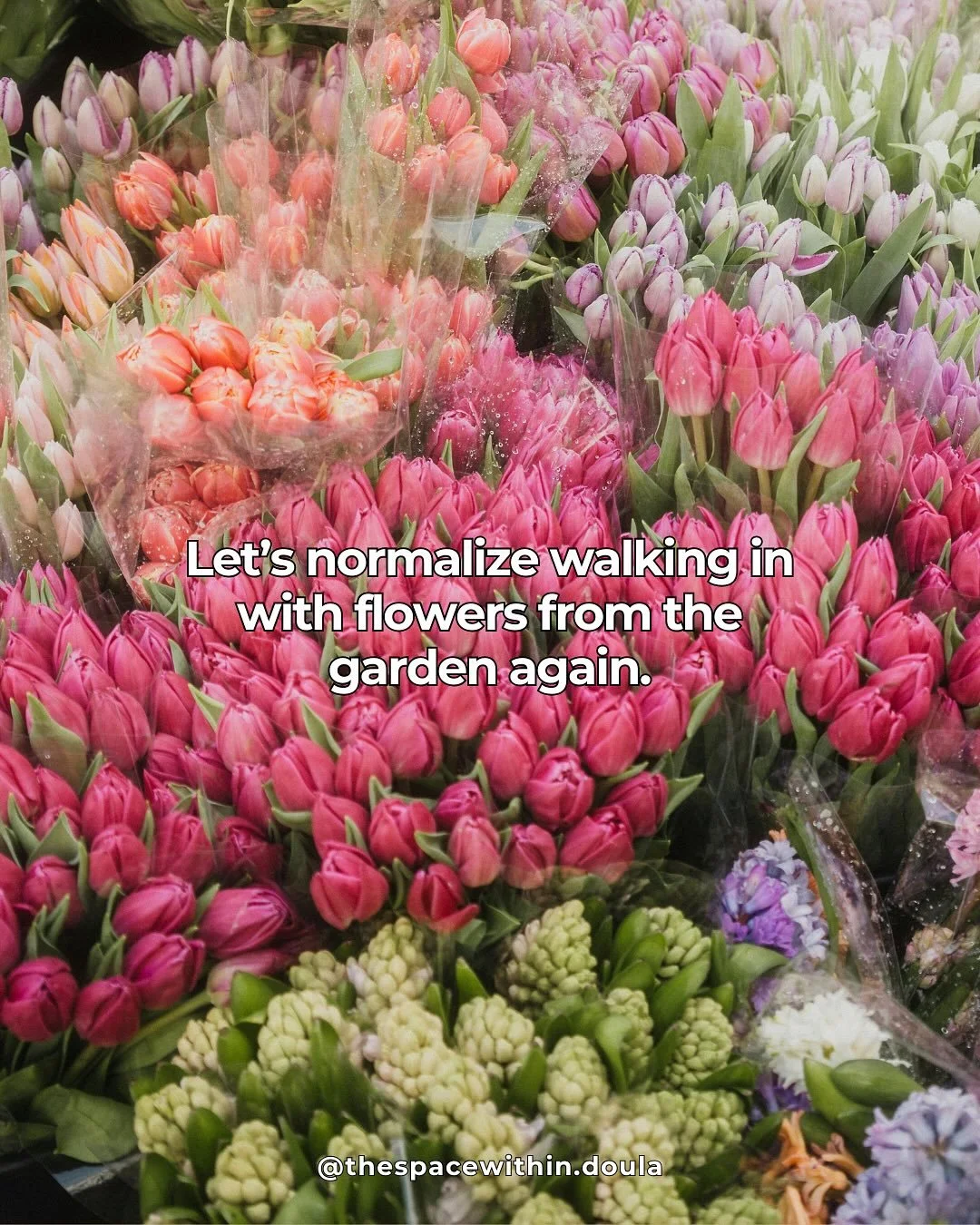 Real talk: postpartum- it takes a freaking village!
.
The most important thing you can do postpartum is advocate for yourself and ask for help when/where needed.
The smallest things can prove to be the biggest help.
Having a friend come over to hold 