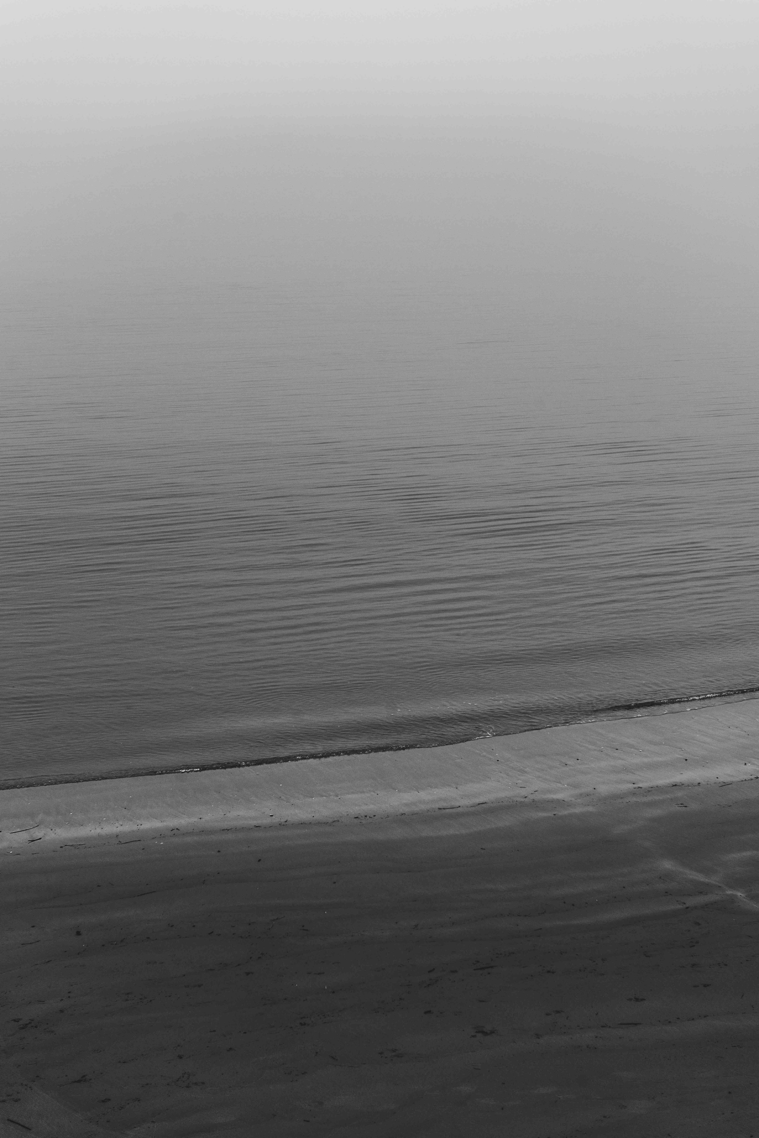 Black and white photo of a calm sea and sandy beach