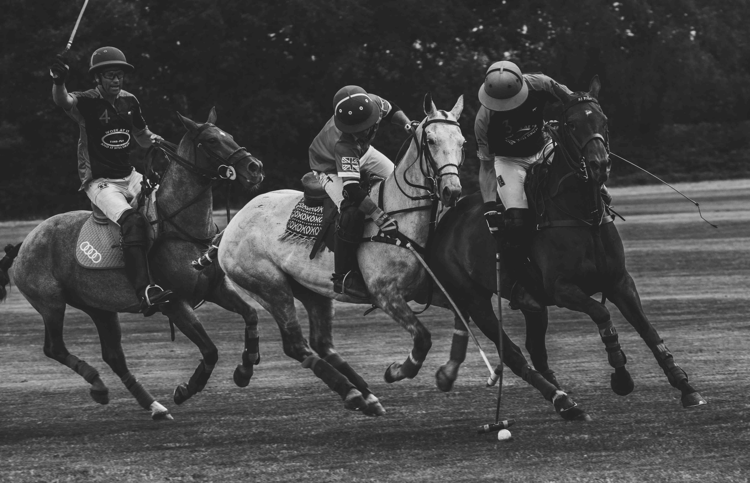 Black and white photo of a polo match with three riders on horses competing fiercely for the ball on a grassy field.