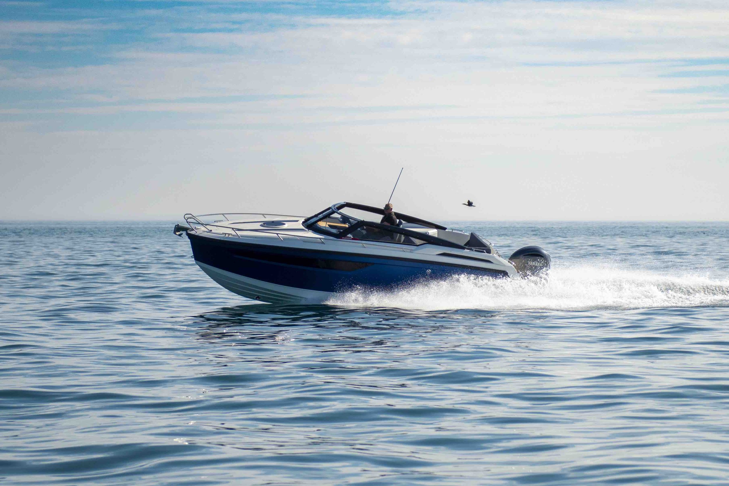 Speedboat on open water with a person driving and a bird flying overhead.