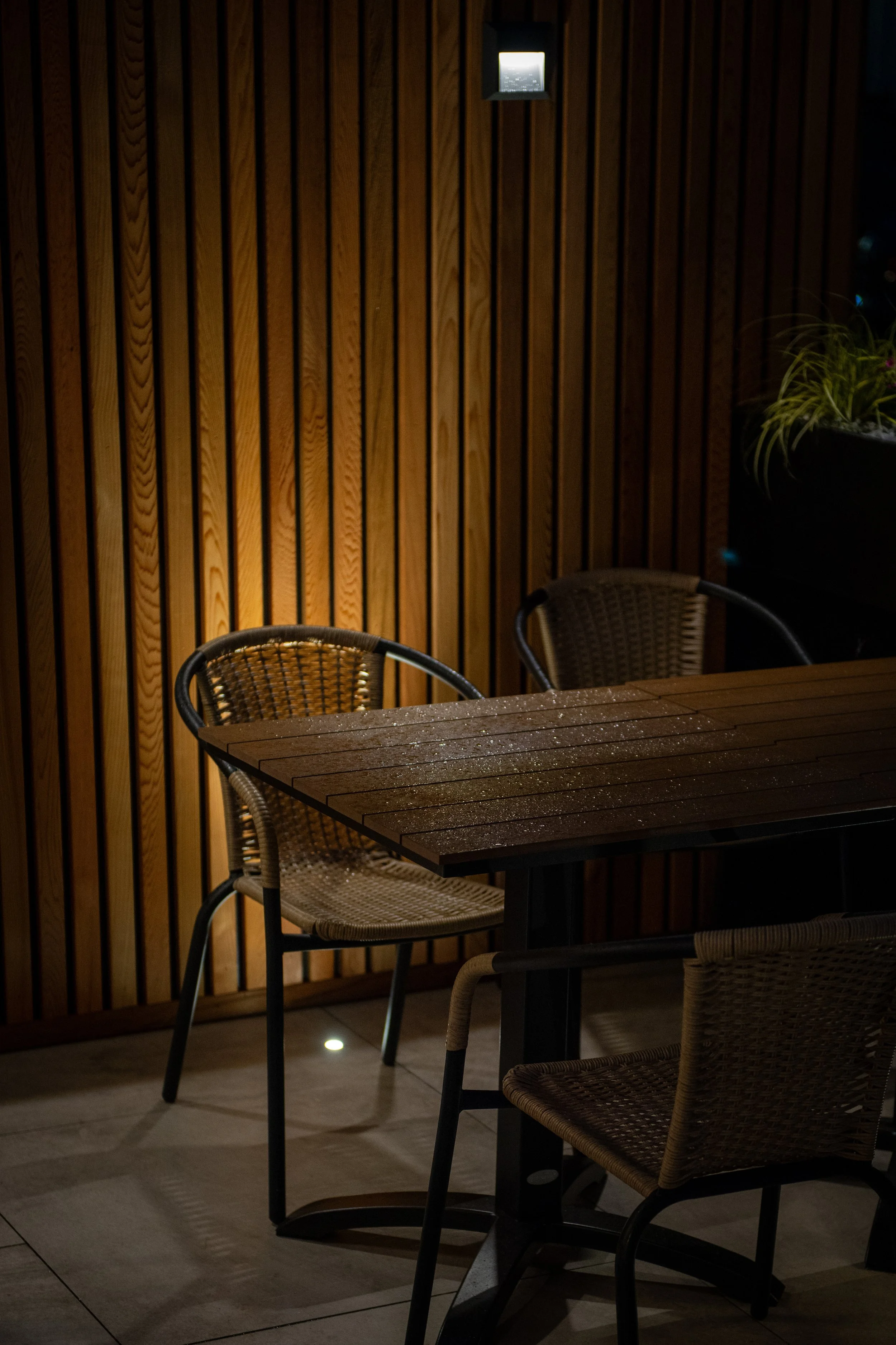 Soch - Opening Night - 260625 - 140.jpeg