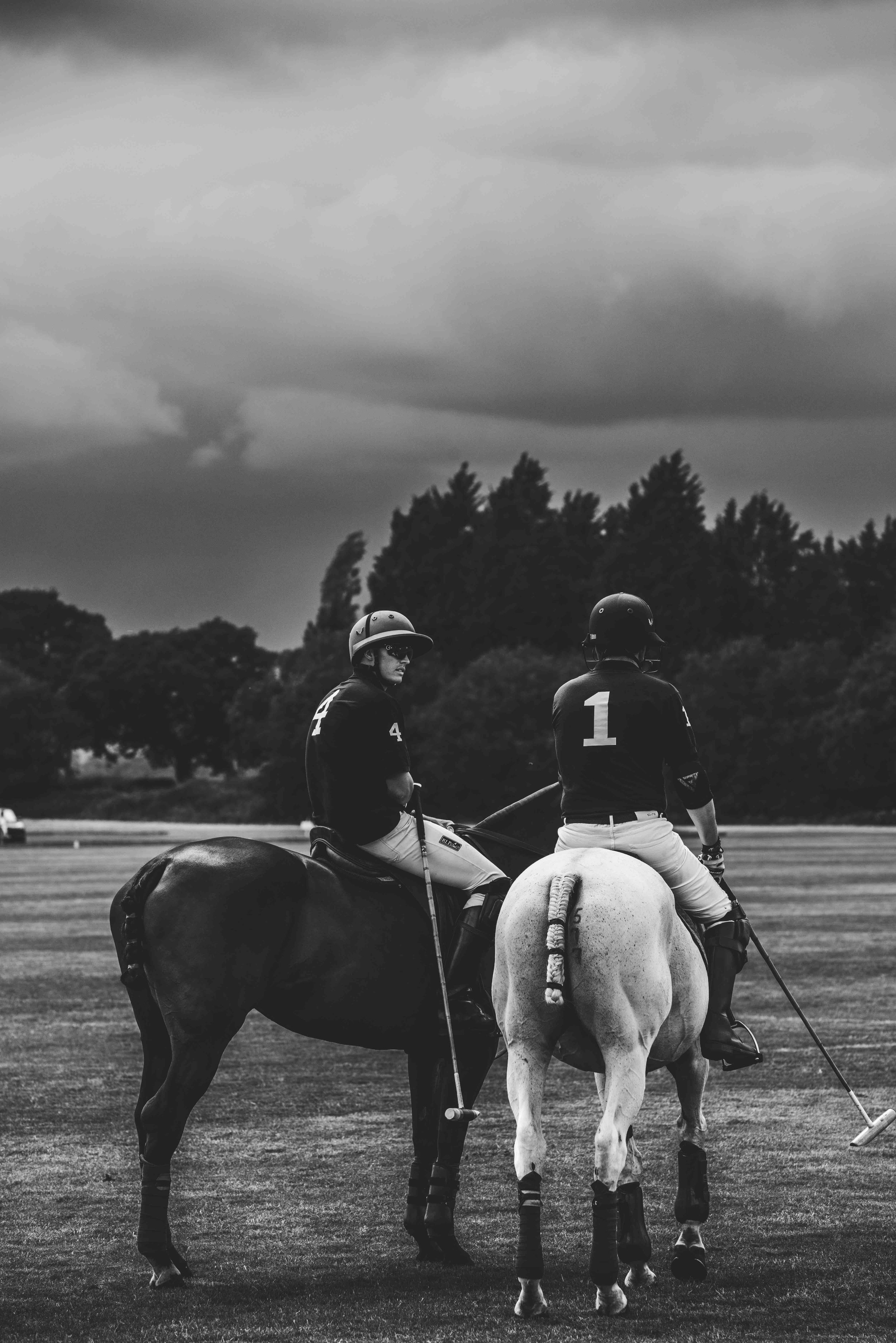 Two polo players on horseback preparing for a match, black and white photo.