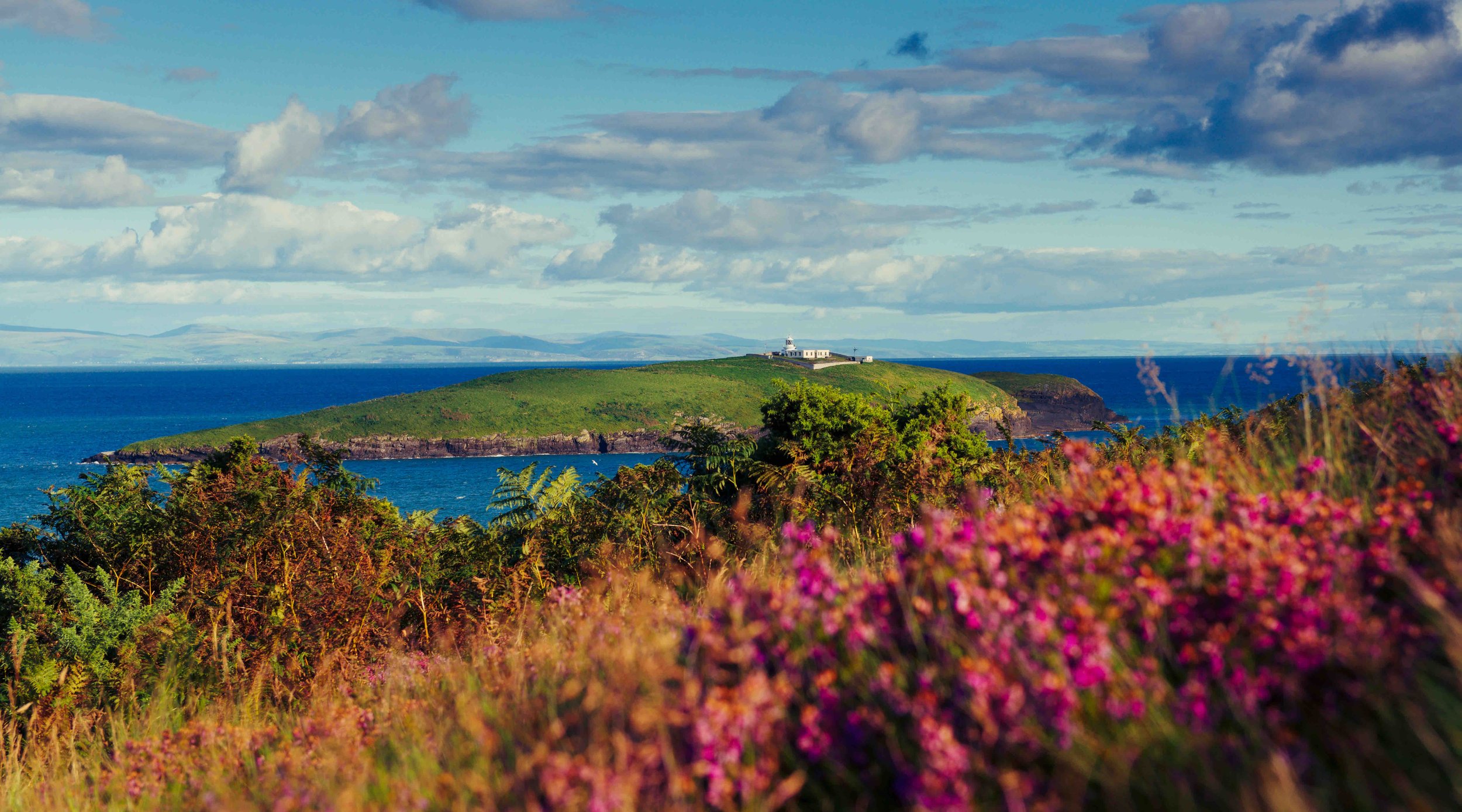 Scenic view of a small grassy island with a lighthouse, surrounded by blue ocean under a partly cloudy sky, foreground with colorful wildflowers and green shrubbery.