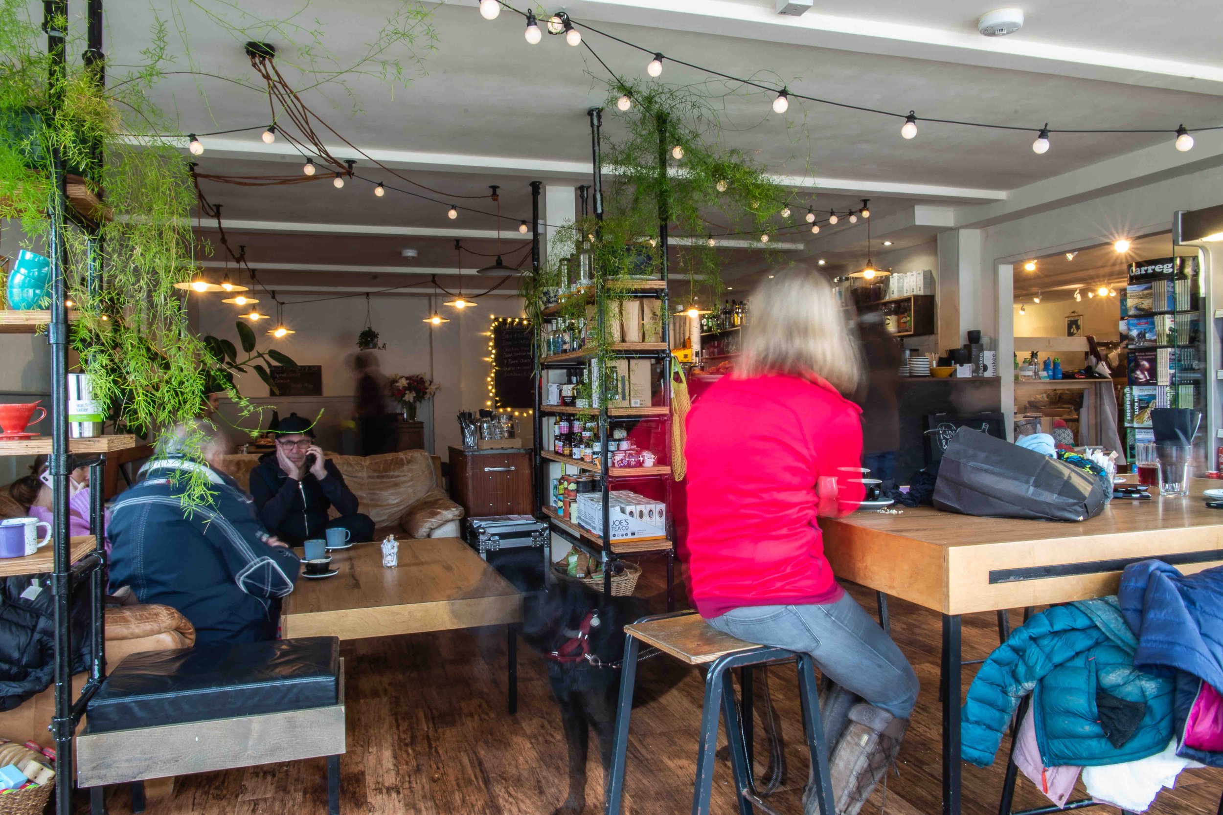 Interior of a cozy cafe with wooden furniture, string lights, and plants. Several people are seated at tables, one person in a red shirt. Shelves display various items. The atmosphere is casual and relaxed.