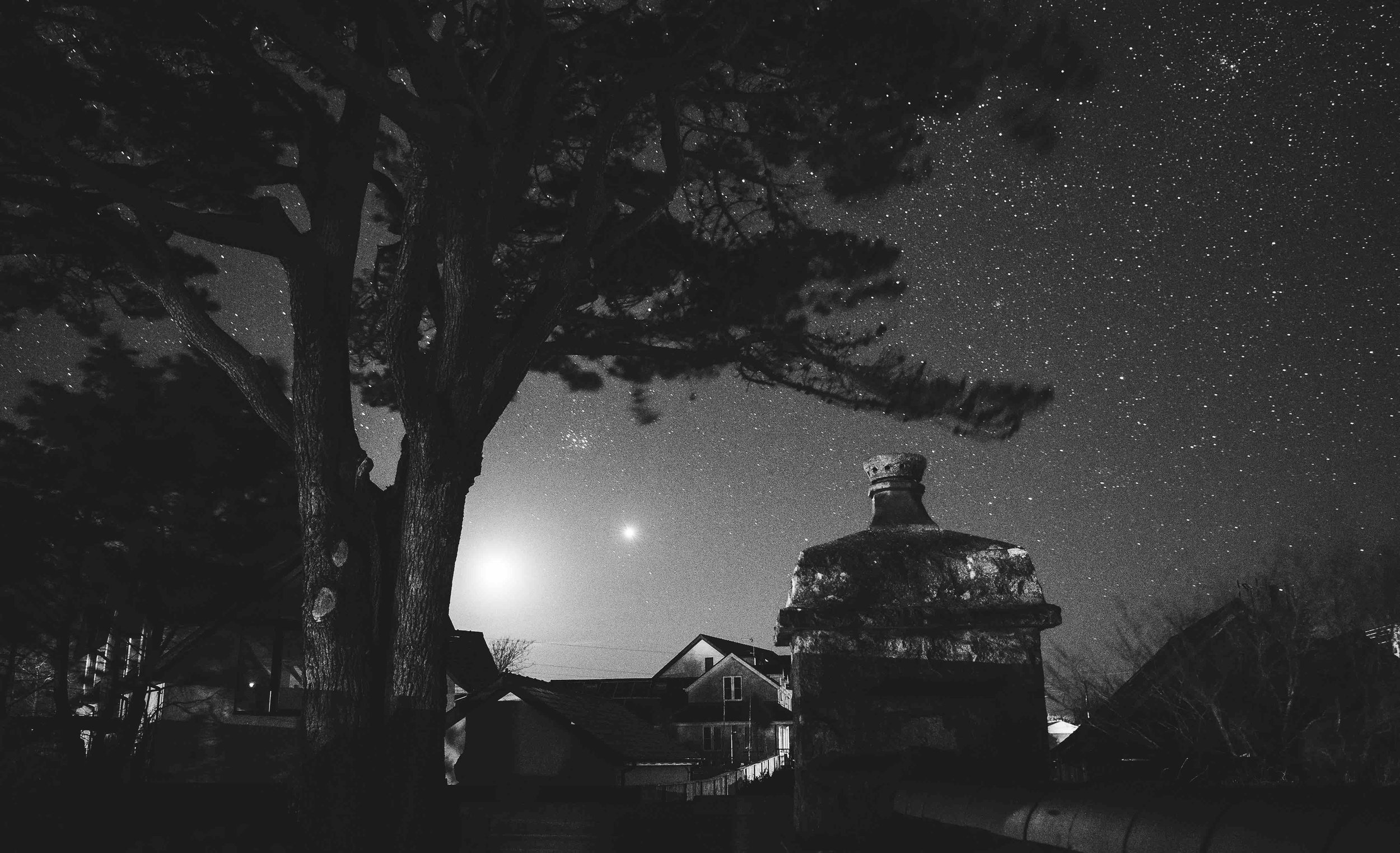 Black and white night scene featuring a large tree in the foreground, rooftops of houses and a chimney, with a clear starry sky in the background.