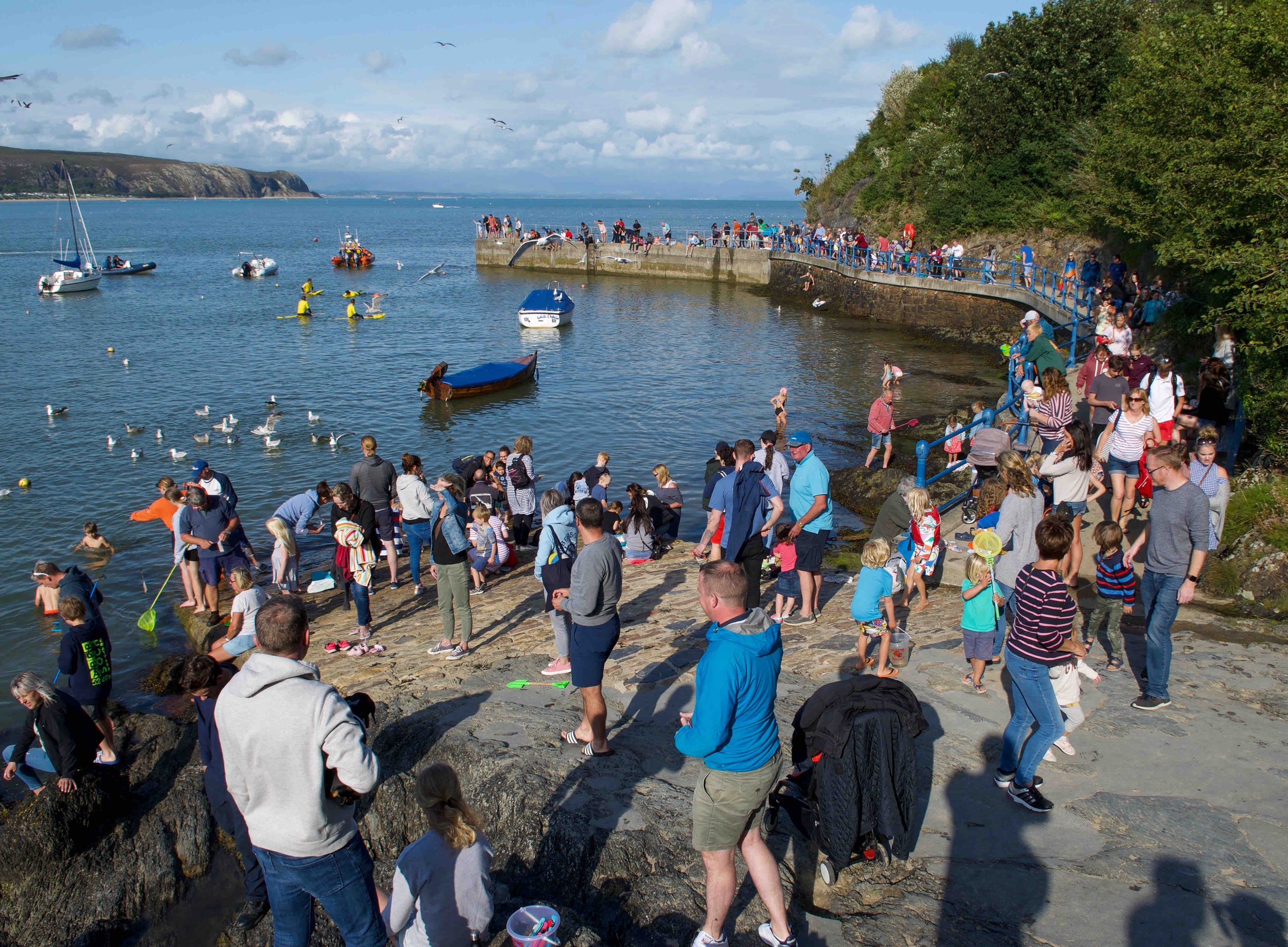 Crowded seaside scene with families and children on a rocky shore, people swimming, kayakers, and boats in a bay.
