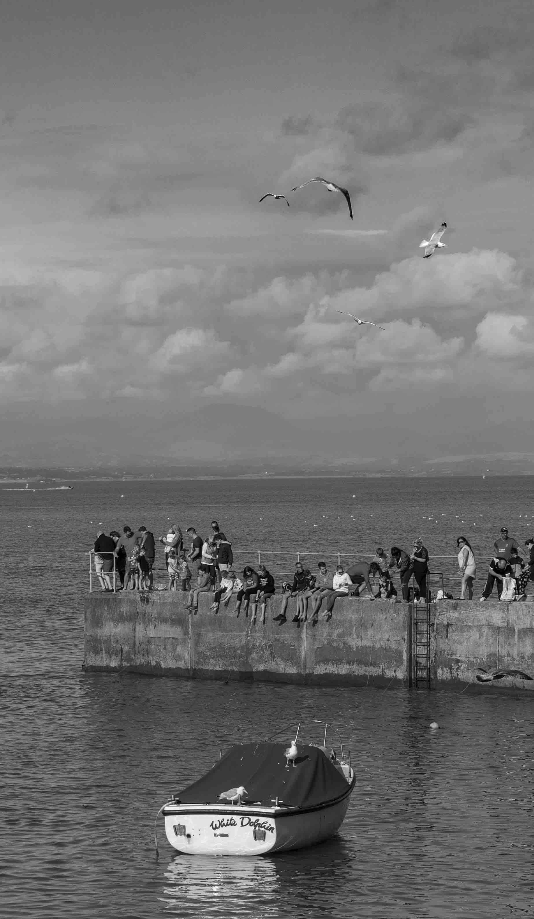 Seascape with people sitting on a pier, seagulls flying in the sky, and a boat named 'White Dolphin' in the foreground. Grayscale image.