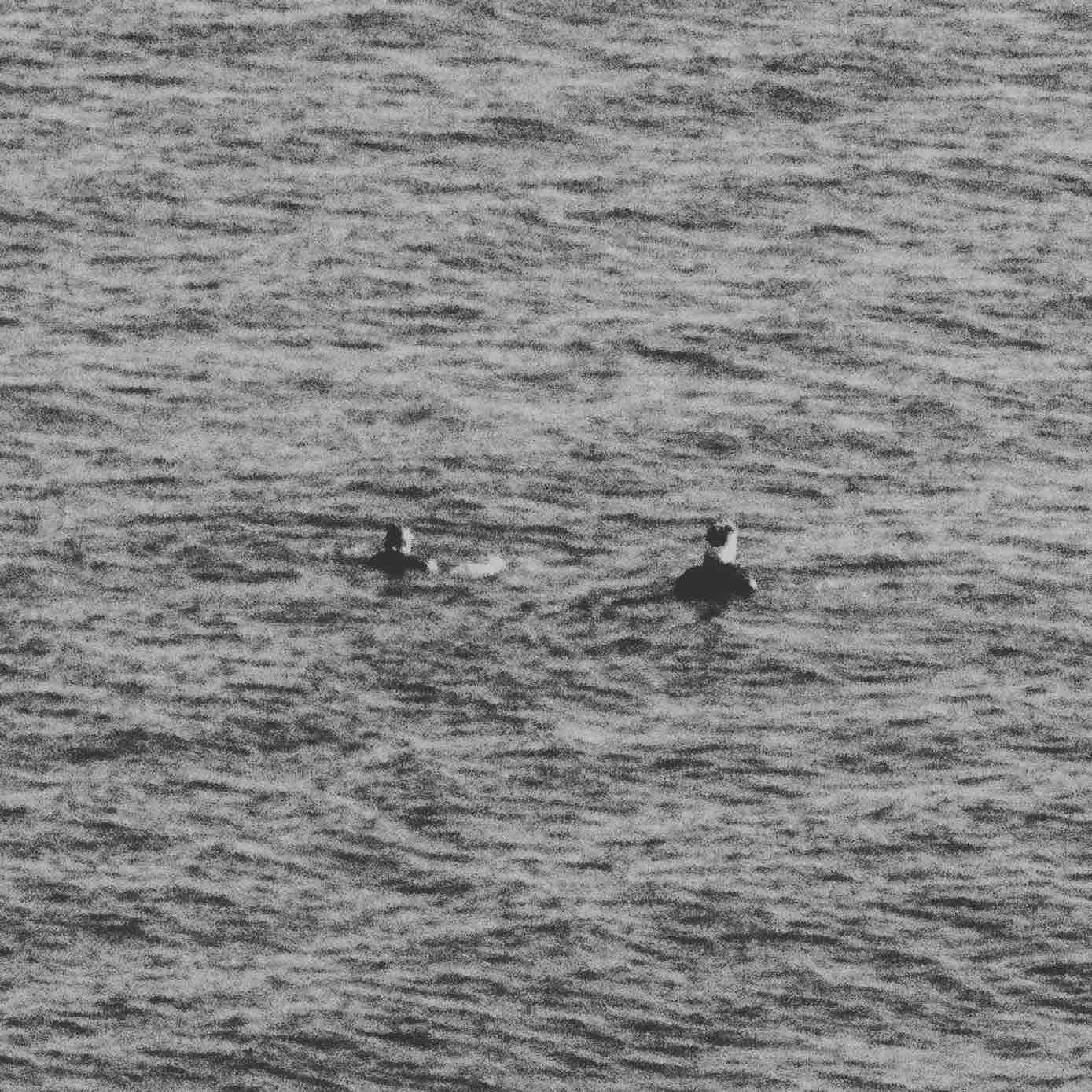 Two people swimming in water, black and white image
