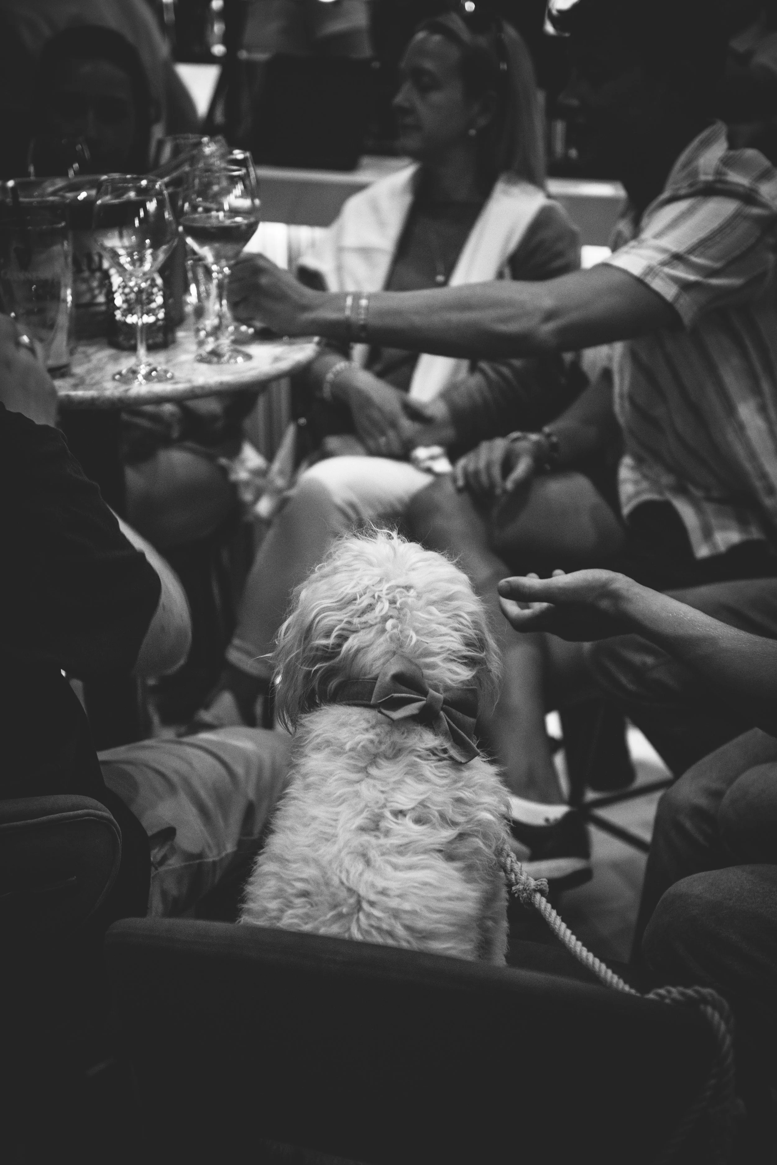 Soch - Opening Night - 260625 - 172.jpeg