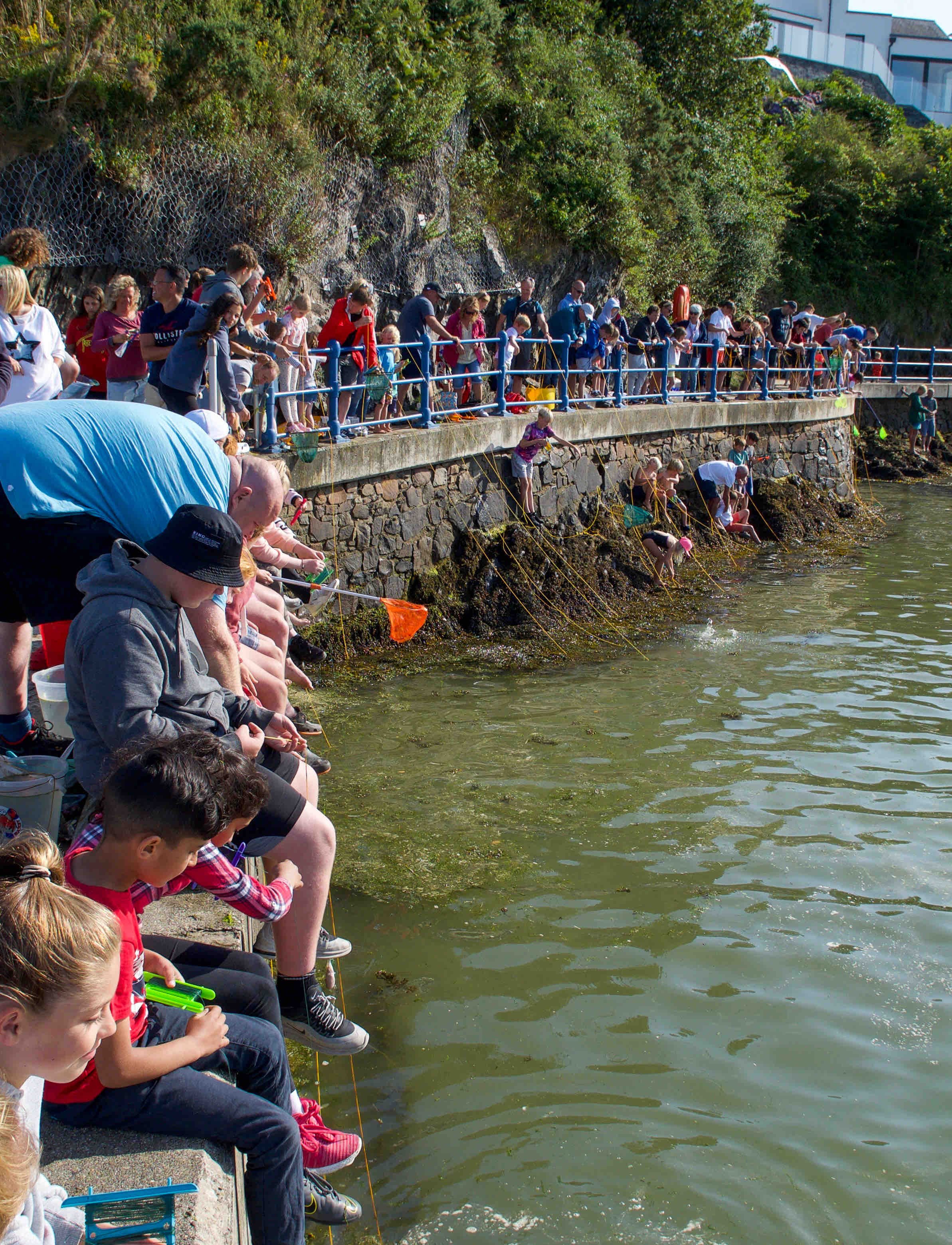 A group of people crowding along a waterfront, some using nets in the water, likely participating in a crabbing or fishing activity.
