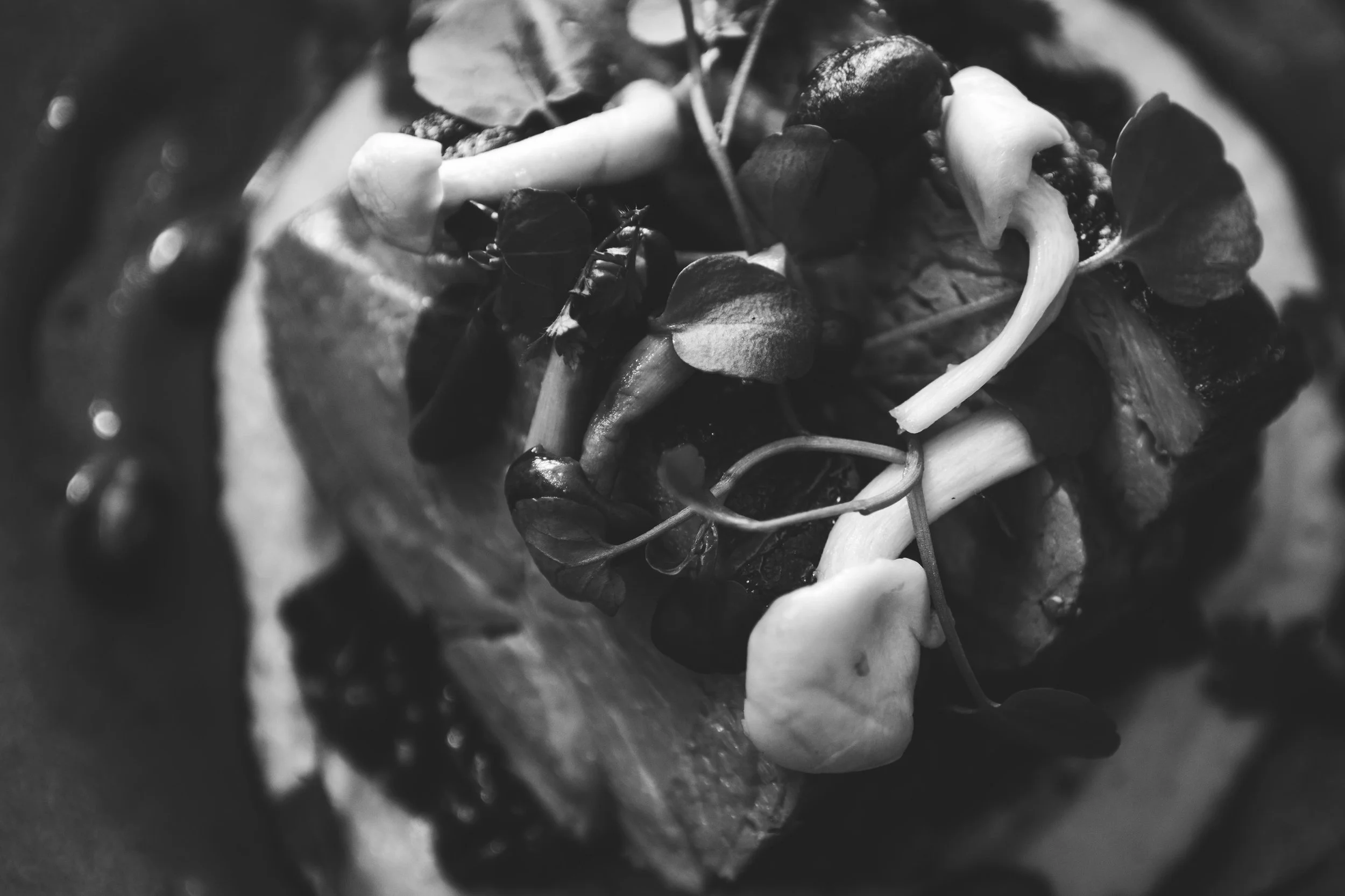 The Dining Room - 040725-32.jpg