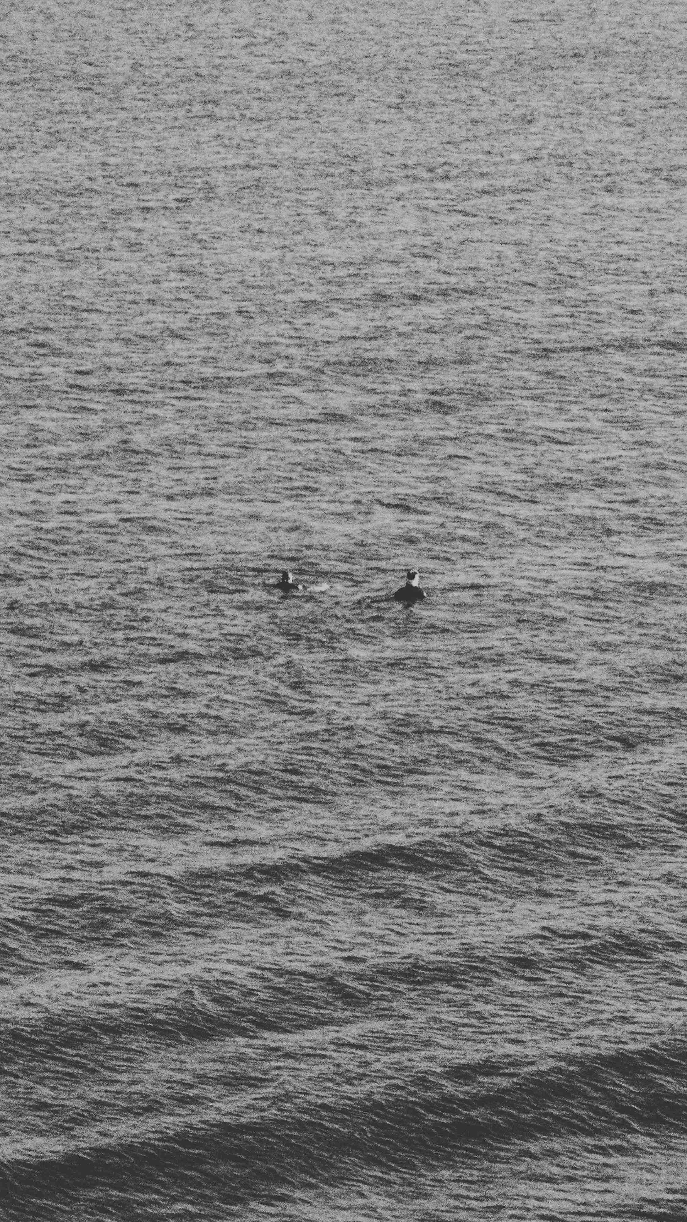 Two surfers wearing wetsuits floating in the ocean, black and white photo.