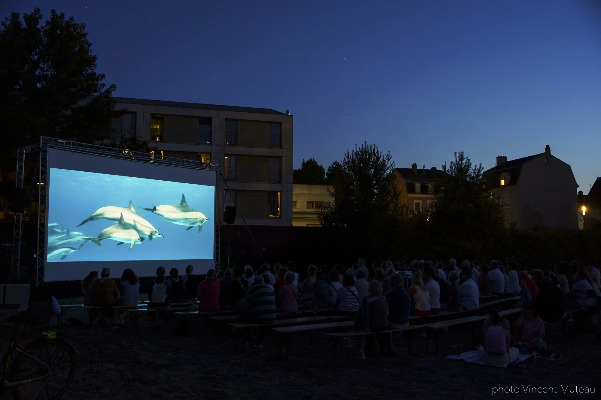 011_SCENESDERUE2026_PROJECTION CINE_Océans_©VincentMuteau_VMU0680-Avec accentuation-Bruit.jpg